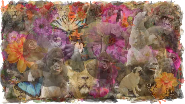 Four Four - from the Debris Collection